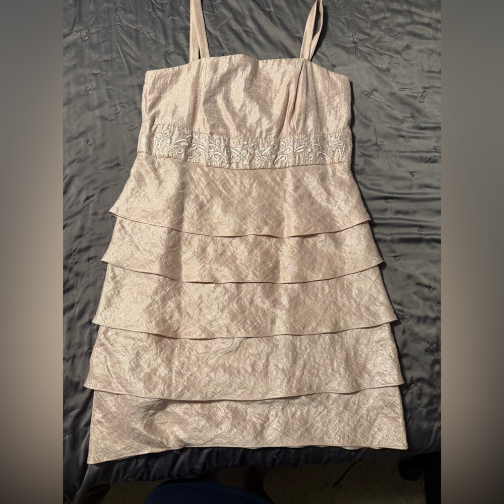 Elegant Pale Pink Dress